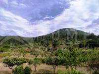 For sale - Country House - Penáguila