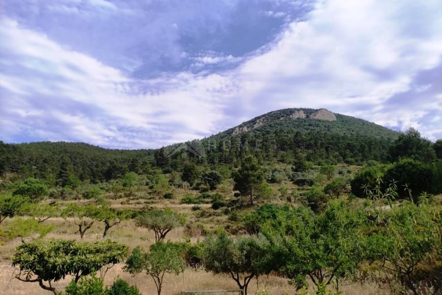 For sale - Country House - Penáguila