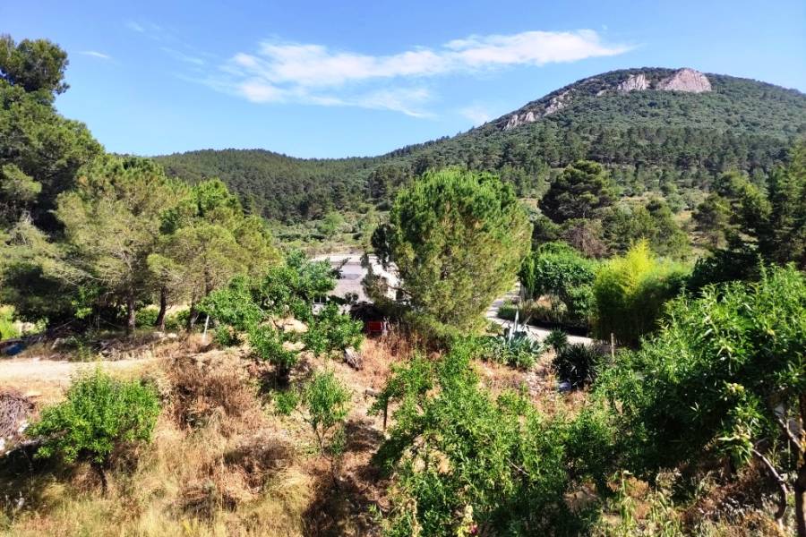 For sale - Country House - Penáguila