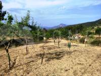For sale - Country House - Penáguila