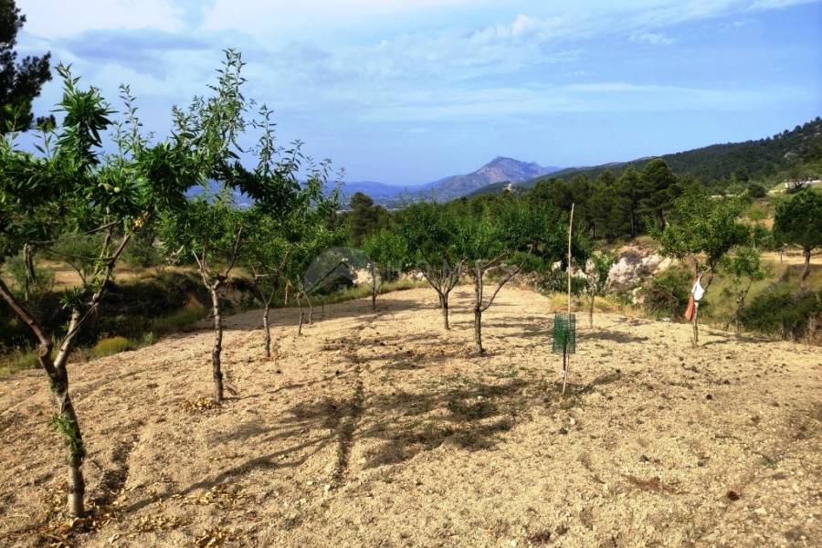 For sale - Country House - Penáguila