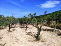 For sale - Country House - Penáguila