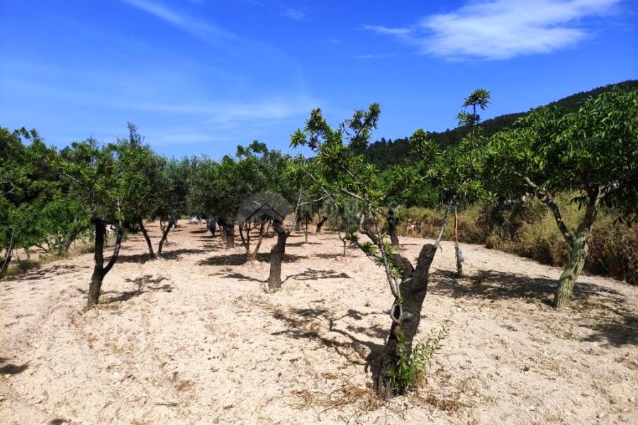 For sale - Country House - Penáguila