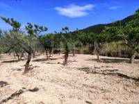 For sale - Country House - Penáguila