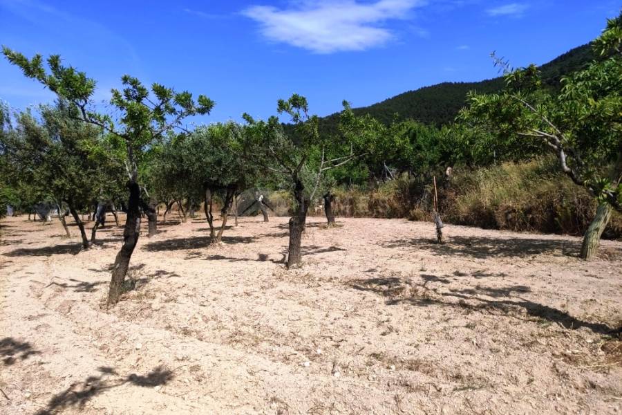 For sale - Country House - Penáguila