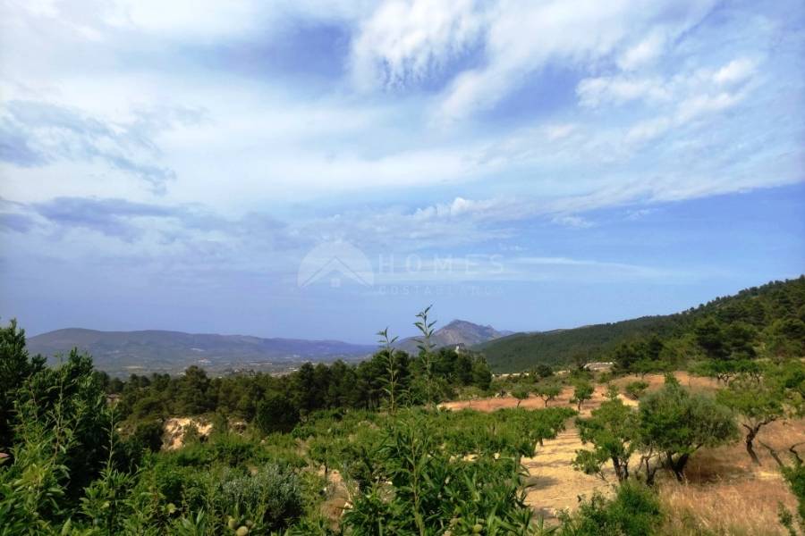 For sale - Country House - Penáguila