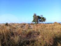 Te koop - Villa - Oliva