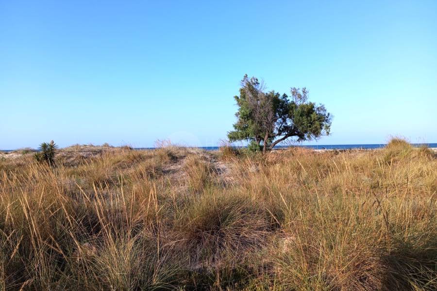 Te koop - Villa - Oliva