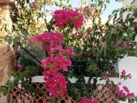 Te koop - Rijtjeshuis - Denia