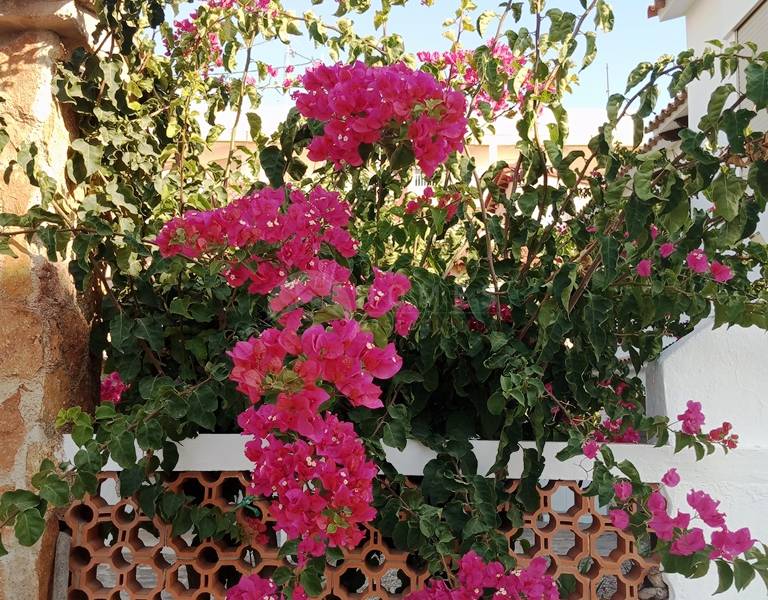 Te koop - Rijtjeshuis - Denia