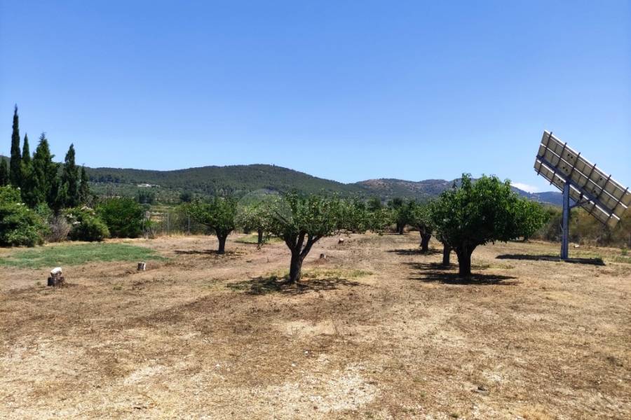 For sale - Country House - Agres