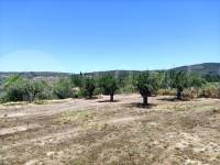 For sale - Country House - Agres