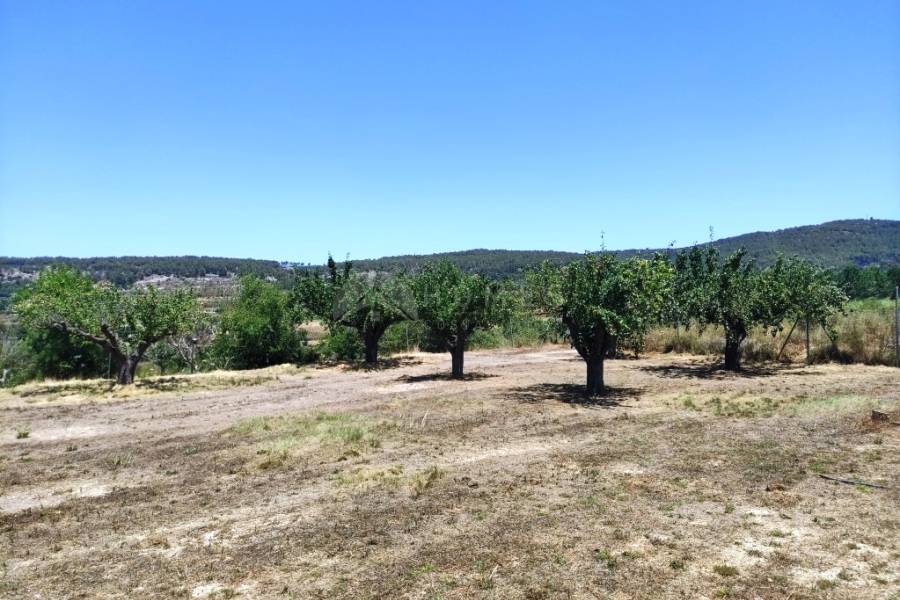 For sale - Country House - Agres
