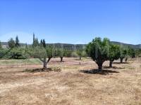For sale - Country House - Agres
