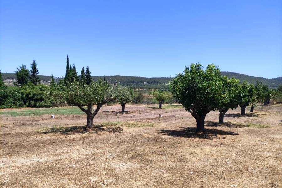 For sale - Country House - Agres