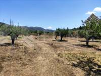 For sale - Country House - Agres