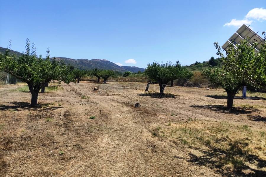 For sale - Country House - Agres