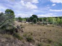 Te koop - Landhuis - Bocairent