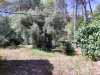 For sale - Country House - Villalonga