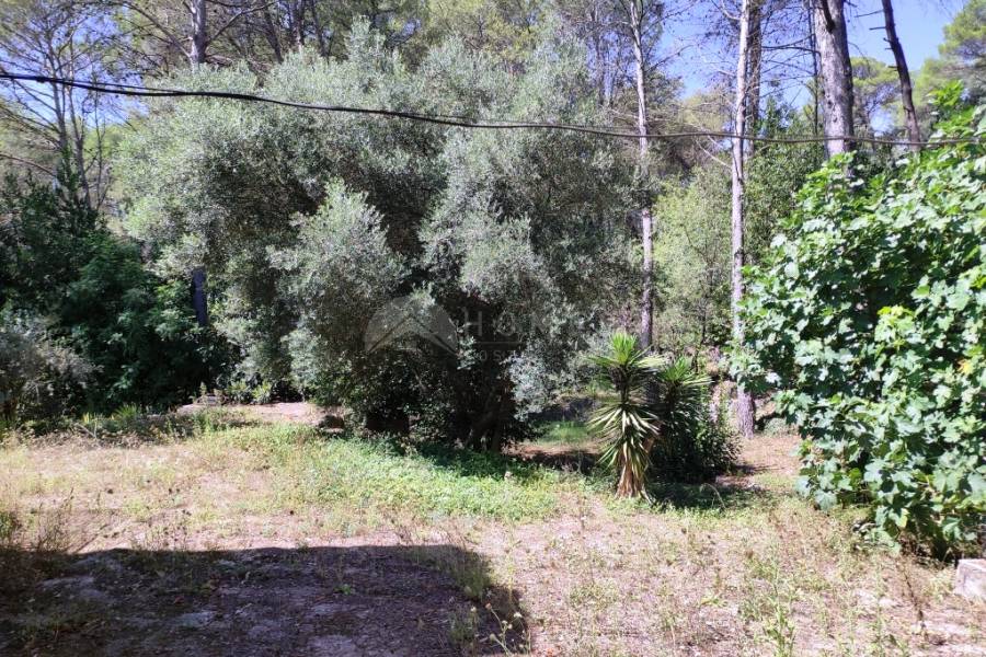 For sale - Country House - Villalonga