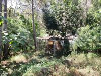 For sale - Country House - Villalonga