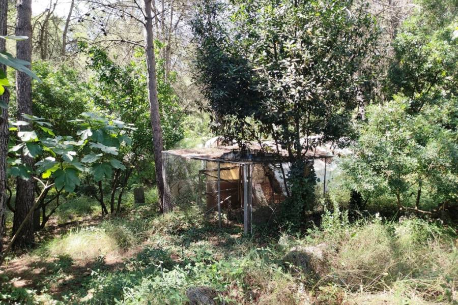 For sale - Country House - Villalonga