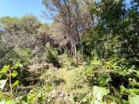 For sale - Country House - Villalonga