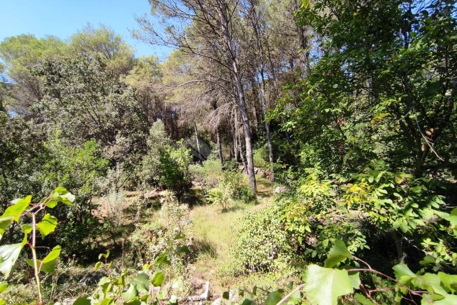 For sale - Country House - Villalonga