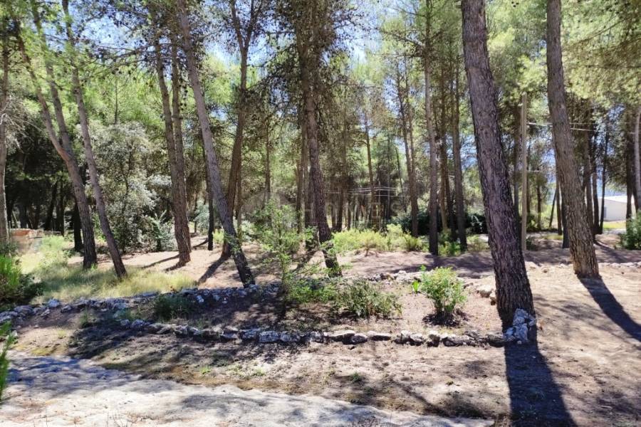 Te koop - Landhuis - Alcoy