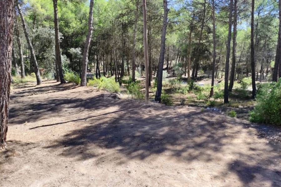 Te koop - Landhuis - Alcoy