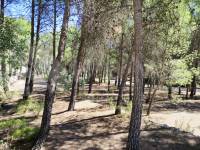 Te koop - Landhuis - Alcoy