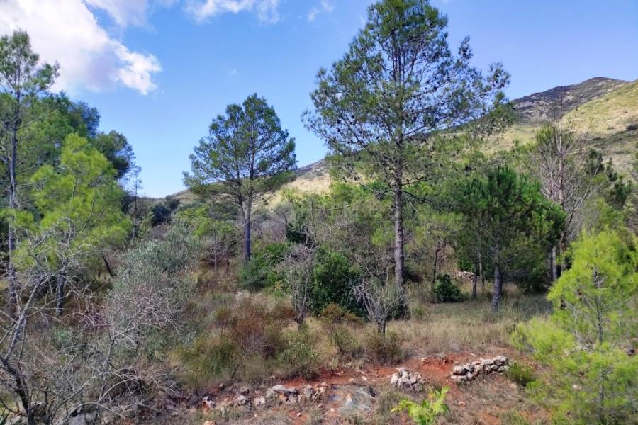 For sale - Country House - Villalonga