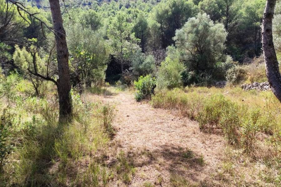 For sale - Country House - Villalonga