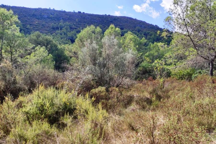 For sale - Country House - Villalonga