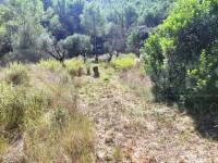 For sale - Country House - Villalonga