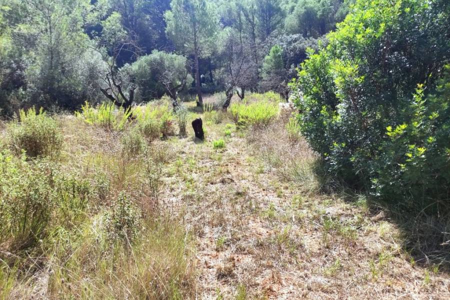 For sale - Country House - Villalonga