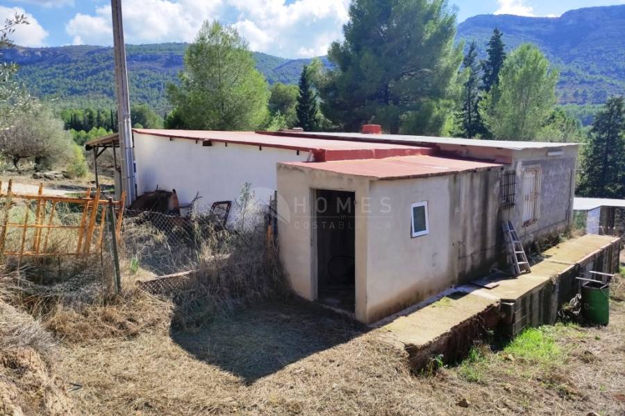 Te koop - Landhuis - Albaida