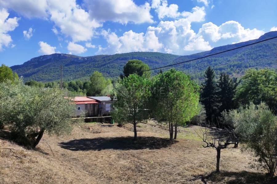 Te koop - Landhuis - Albaida