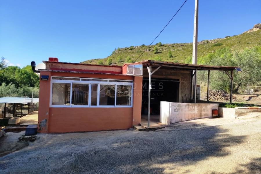 Te koop - Landhuis - Albaida