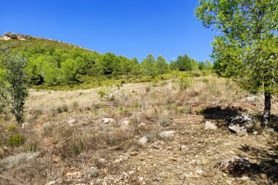 Te koop - Landhuis - Albaida