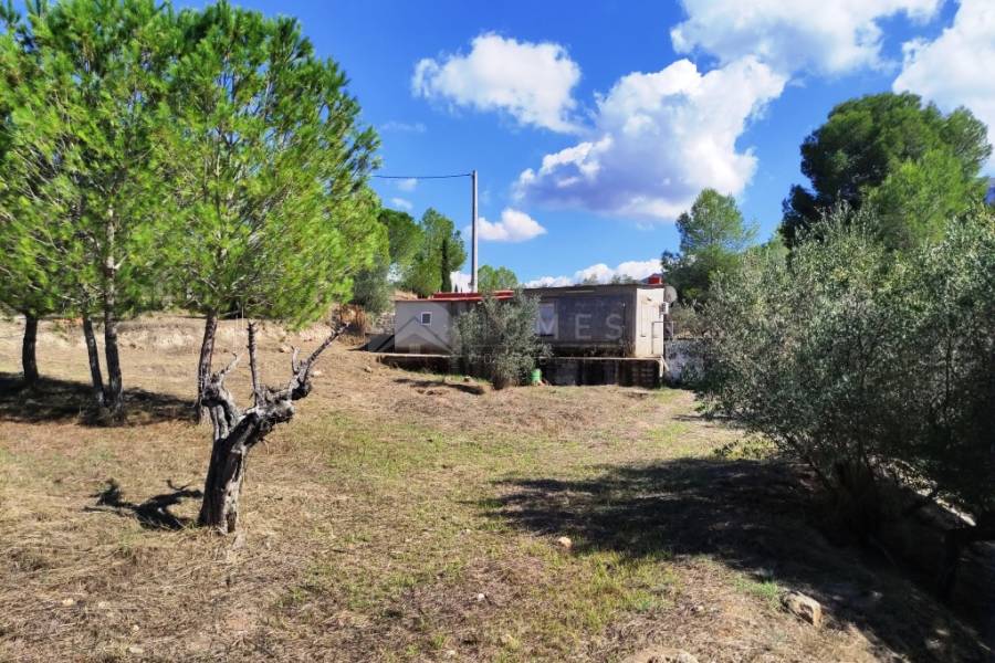 Te koop - Landhuis - Albaida