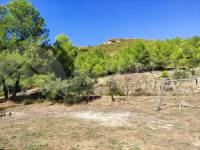 Te koop - Landhuis - Albaida