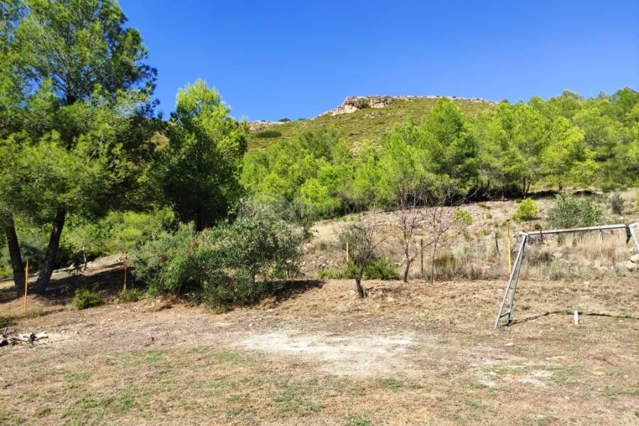 Te koop - Landhuis - Albaida