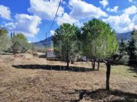 Te koop - Landhuis - Albaida