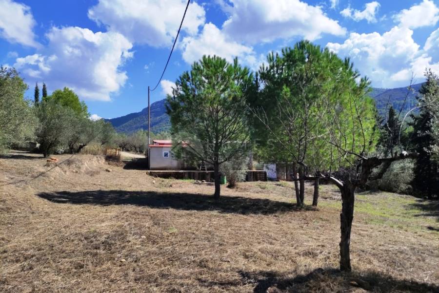 Te koop - Landhuis - Albaida