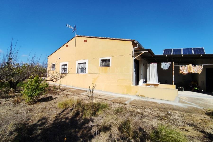 Te koop - Landhuis - Albaida