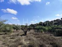 Te koop - Landhuis - Albaida