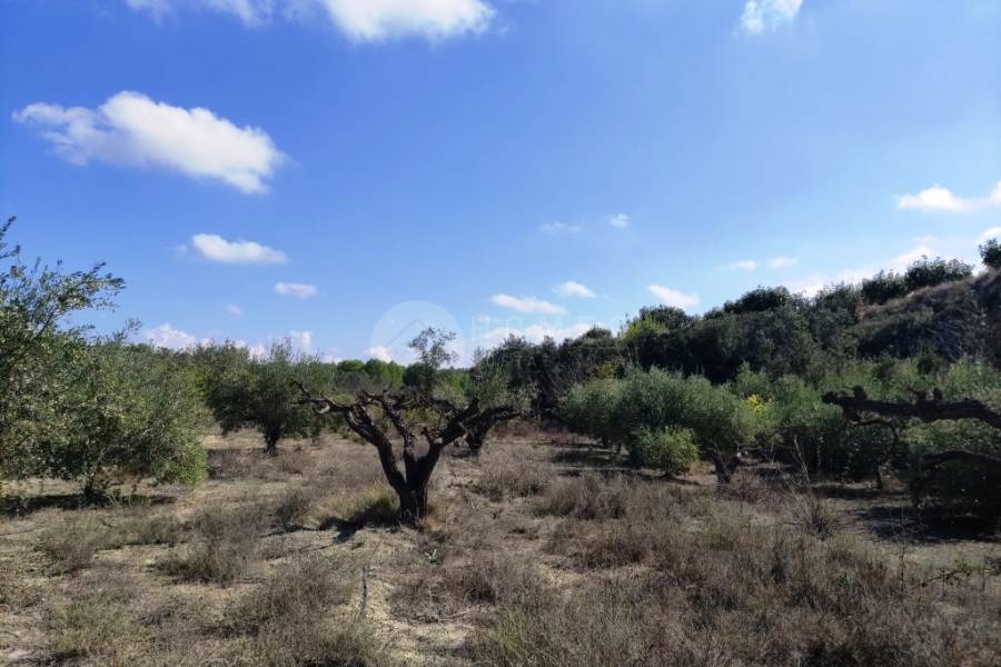 Te koop - Landhuis - Albaida