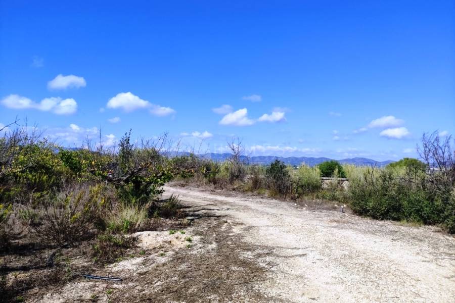 Te koop - Landhuis - Albaida