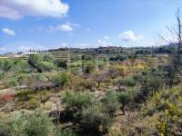 Te koop - Landhuis - Albaida